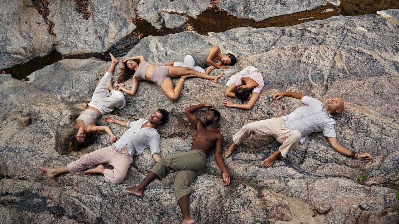 A group resting together on sunlit coastal rocks.
